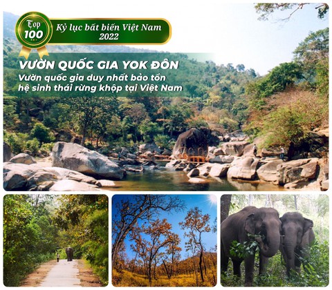 Thảo cầm viên Sài Gòn, cầu Sông Hàn, làng lụa Vạn Phúc… xác lập kỷ lục bất biến - Ảnh 3. Thảo cầm viên Sài Gòn, cầu Sông Hàn, làng lụa Vạn Phúc… xác lập kỷ lục bất biến - Ảnh 3.