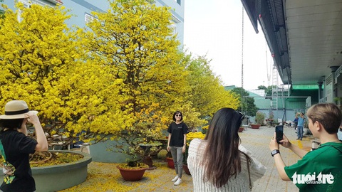 Nghỉ Tết 9 ngày là phù hợp - Ảnh 1. Nghỉ Tết 9 ngày là phù hợp - Ảnh 1.