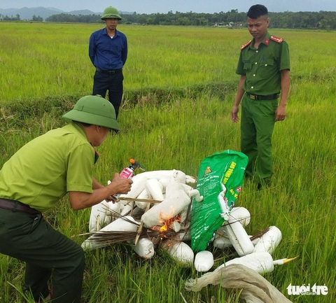 Đồng loạt ra quân xử lý nạn săn bắt chim trời mùa di cư - Ảnh 2. Đồng loạt ra quân xử lý nạn săn bắt chim trời mùa di cư - Ảnh 2.