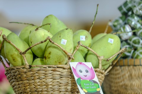 Đồng Tháp mang hàng trăm sản vật quê hương ra Hà Nội - Ảnh 5. Đồng Tháp mang hàng trăm sản vật quê hương ra Hà Nội - Ảnh 5.