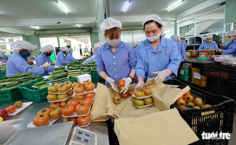 Tin sáng 9-9: Có 7 người nộp lại quà tặng hơn 135 triệu; Việt Nam sẽ nhận 1,8 triệu liều vắc xin - Ảnh 3. Tin sáng 9-9: Có 7 người nộp lại quà tặng hơn 135 triệu; Việt Nam sẽ nhận 1,8 triệu liều vắc xin - Ảnh 3.