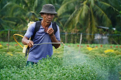Niêm yết giá hoa Tết, lợi đôi đàng - Ảnh 10. Niêm yết giá hoa Tết, lợi đôi đàng - Ảnh 10.