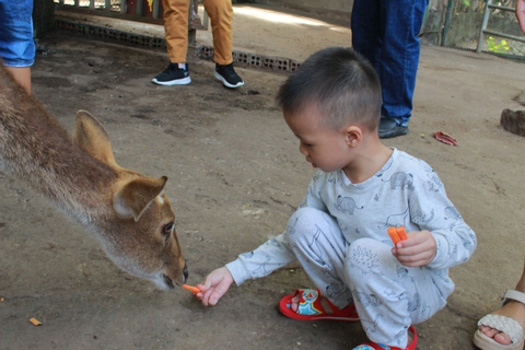 Người dân đổ về Thảo cầm viên đông nghẹt dịp Tết dương lịch - Ảnh 8. Người dân đổ về Thảo cầm viên đông nghẹt dịp Tết dương lịch - Ảnh 8.