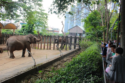 Người dân đổ về Thảo cầm viên đông nghẹt dịp Tết dương lịch - Ảnh 4. Người dân đổ về Thảo cầm viên đông nghẹt dịp Tết dương lịch - Ảnh 4.