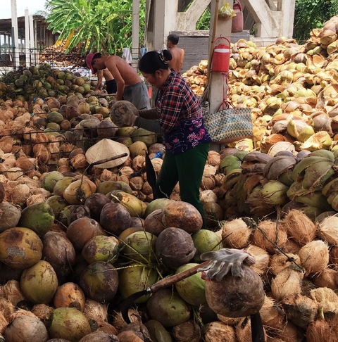 Độc đáo chợ dừa nổi Bến Tre - Kỳ 3: Biến tấu nước dừa khô một thời đổ bỏ - Ảnh 2. Độc đáo chợ dừa nổi Bến Tre - Kỳ 3: Biến tấu nước dừa khô một thời đổ bỏ - Ảnh 2.