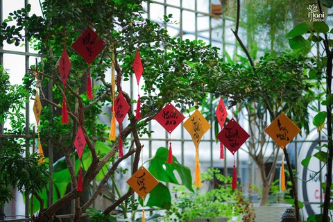 Chơi chữ trên vật phẩm ngày Tết - Ảnh 3. Chơi chữ trên vật phẩm ngày Tết - Ảnh 3.