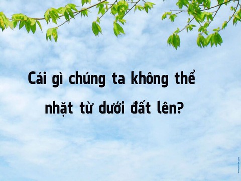 Đố vui: Cái gì luôn luôn tăng và không bao giờ giảm? - Ảnh 4. Đố vui: Cái gì luôn luôn tăng và không bao giờ giảm? - Ảnh 4.