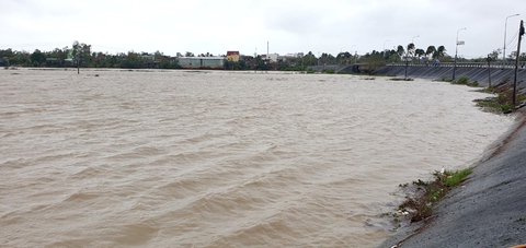 Hơn 4.000ha ruộng lúa Phú Yên đang ngập úng - Ảnh 1. Hơn 4.000ha ruộng lúa Phú Yên đang ngập úng - Ảnh 1.