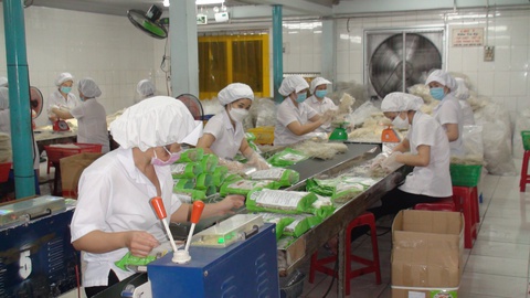 Trăm năm nghề bột Sa Đéc nuôi sống hàng ngàn gia đình - Ảnh 3. Trăm năm nghề bột Sa Đéc nuôi sống hàng ngàn gia đình - Ảnh 3.