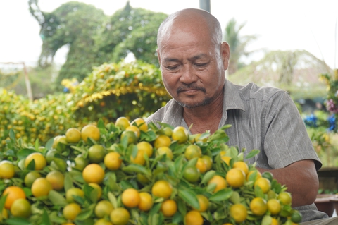 Cho rằng linh vật mèo không may mắn, làng kiểng thú khan hiếm hàng - Ảnh 3. Cho rằng linh vật mèo không may mắn, làng kiểng thú khan hiếm hàng - Ảnh 3.