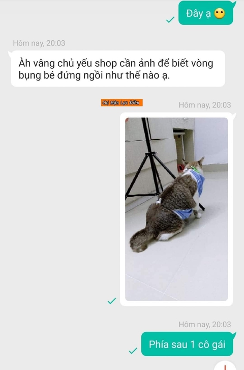 Hoàng thượng lộ ảnh nhạy cảm khi mua hàng online - Ảnh 4. Hoàng thượng lộ ảnh nhạy cảm khi mua hàng online - Ảnh 4.