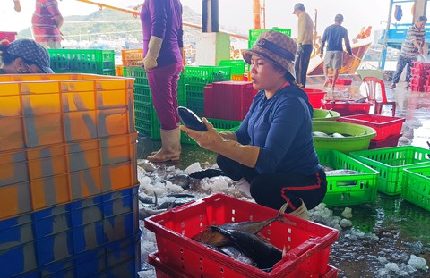 Tàu cá bám biển xuyên Tết: Năm nào không ăn Tết trên biển lại thấy thiếu gì đó - Ảnh 2. Tàu cá bám biển xuyên Tết: Năm nào không ăn Tết trên biển lại thấy thiếu gì đó - Ảnh 2.