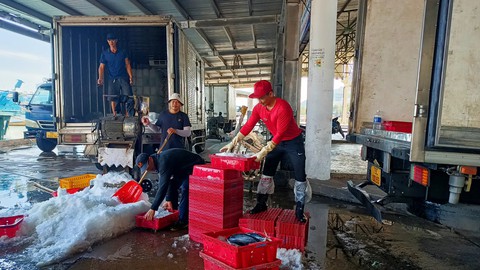 Tàu cá bám biển xuyên Tết: Năm nào không ăn Tết trên biển lại thấy thiếu gì đó - Ảnh 7. Tàu cá bám biển xuyên Tết: Năm nào không ăn Tết trên biển lại thấy thiếu gì đó - Ảnh 7.