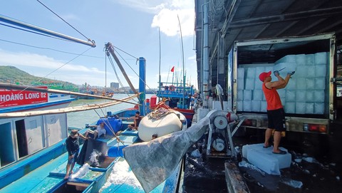 Tàu cá bám biển xuyên Tết: Năm nào không ăn Tết trên biển lại thấy thiếu gì đó - Ảnh 1. Tàu cá bám biển xuyên Tết: Năm nào không ăn Tết trên biển lại thấy thiếu gì đó - Ảnh 1.