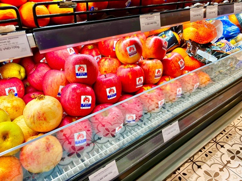 3 loại trái cây Nhật thích hợp làm quà tặng dịp Tết Quý Mão - Ảnh 1. 3 loại trái cây Nhật thích hợp làm quà tặng dịp Tết Quý Mão - Ảnh 1.