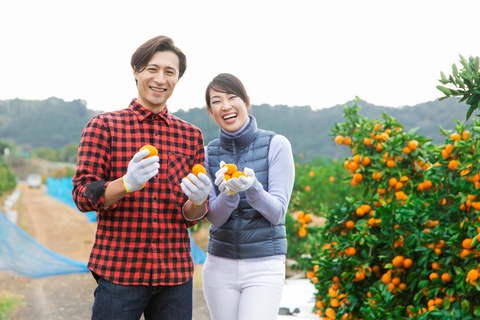 3 loại trái cây Nhật thích hợp làm quà tặng dịp Tết Quý Mão - Ảnh 4. 3 loại trái cây Nhật thích hợp làm quà tặng dịp Tết Quý Mão - Ảnh 4.
