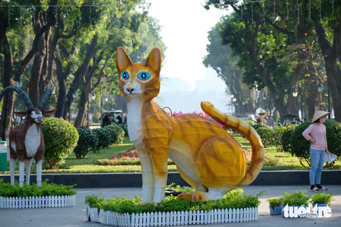 Khắp nơi tạo hình linh vật mèo chào xuân Quý Mão - Ảnh 2. Khắp nơi tạo hình linh vật mèo chào xuân Quý Mão - Ảnh 2.
