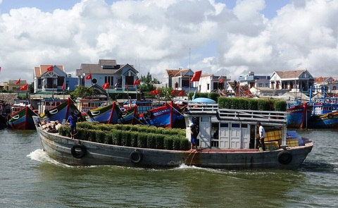Chở Tết ra đảo Lý Sơn trước khi thời tiết chuyển xấu - Ảnh 5.