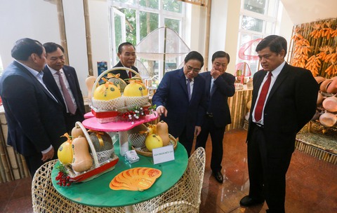 Nông nghiệp thắng lớn trong năm 2022 - Ảnh 5. Nông nghiệp thắng lớn trong năm 2022 - Ảnh 5.