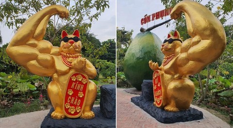 Mèo Tây Ninh sợ rớt nọng, mèo Suối Tiên mắt bụp mắt xòe - Ảnh 8. Mèo Tây Ninh sợ rớt nọng, mèo Suối Tiên mắt bụp mắt xòe - Ảnh 8.