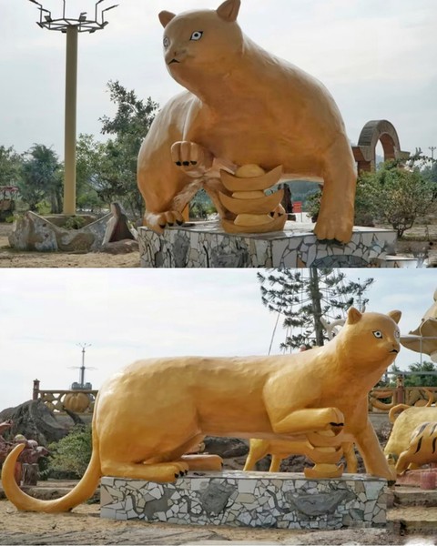 Mèo Tây Ninh sợ rớt nọng, mèo Suối Tiên mắt bụp mắt xòe - Ảnh 9. Mèo Tây Ninh sợ rớt nọng, mèo Suối Tiên mắt bụp mắt xòe - Ảnh 9.