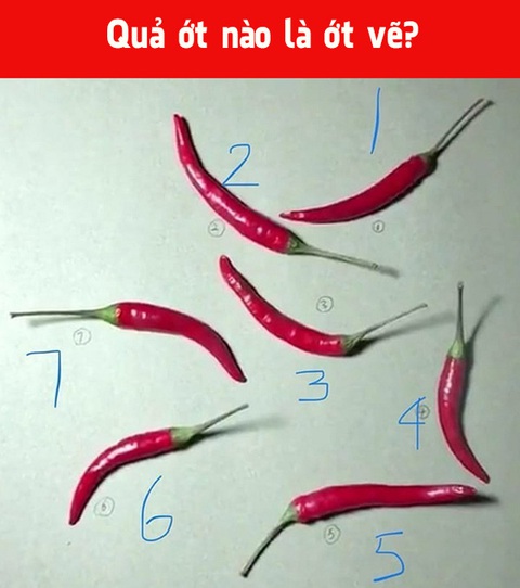 Thử tài phán đoán: Quả ớt nào là ớt vẽ? - Ảnh 1. Thử tài phán đoán: Quả ớt nào là ớt vẽ? - Ảnh 1.