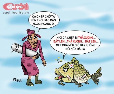 Cá chép cúng ông Táo bị hành hạ, hết bay nổi! - Ảnh 1. Cá chép cúng ông Táo bị hành hạ, hết bay nổi! - Ảnh 1.