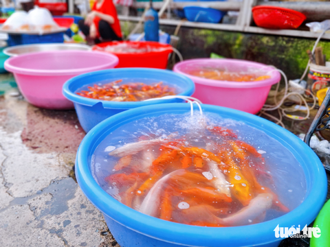 Chen chân mua vật phẩm cúng ông Công, ông Táo - Ảnh 5. Chen chân mua vật phẩm cúng ông Công, ông Táo - Ảnh 5.