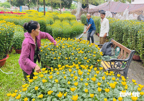TP.HCM đồng loạt khai trương chợ hoa Tết - Ảnh 3. TP.HCM đồng loạt khai trương chợ hoa Tết - Ảnh 3.