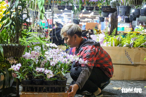 TP.HCM đồng loạt khai trương chợ hoa Tết - Ảnh 5. TP.HCM đồng loạt khai trương chợ hoa Tết - Ảnh 5.