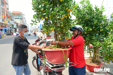 Ghe chở hoa miền Tây cập Bến Bình Đông phục vụ bà con TP.HCM chơi Tết - Ảnh 2. Ghe chở hoa miền Tây cập Bến Bình Đông phục vụ bà con TP.HCM chơi Tết - Ảnh 2.