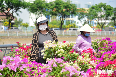 Ghe chở hoa miền Tây cập Bến Bình Đông phục vụ bà con TP.HCM chơi Tết - Ảnh 7. Ghe chở hoa miền Tây cập Bến Bình Đông phục vụ bà con TP.HCM chơi Tết - Ảnh 7.