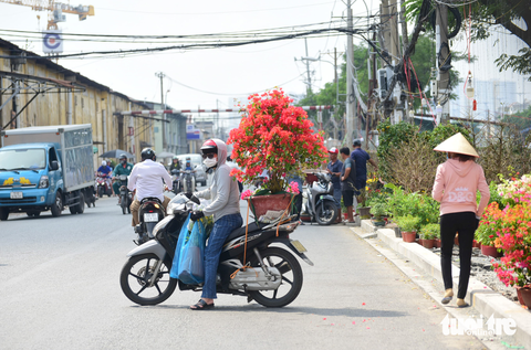 Ghe chở hoa miền Tây cập Bến Bình Đông phục vụ bà con TP.HCM chơi Tết - Ảnh 8. Ghe chở hoa miền Tây cập Bến Bình Đông phục vụ bà con TP.HCM chơi Tết - Ảnh 8.