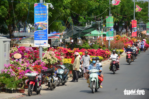 Ghe chở hoa miền Tây cập Bến Bình Đông phục vụ bà con TP.HCM chơi Tết - Ảnh 10. Ghe chở hoa miền Tây cập Bến Bình Đông phục vụ bà con TP.HCM chơi Tết - Ảnh 10.