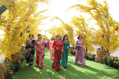 Du khách đã mắt ngắm nhìn cung đường mai vàng - Ảnh 2. Du khách đã mắt ngắm nhìn cung đường mai vàng - Ảnh 2.