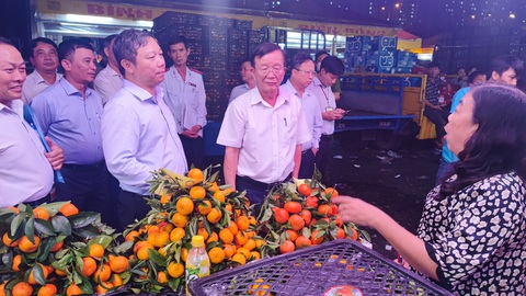 Phó chủ tịch UBND TP.HCM thị sát 3 chợ đầu mối lúc rạng sáng - Ảnh 1. Phó chủ tịch UBND TP.HCM thị sát 3 chợ đầu mối lúc rạng sáng - Ảnh 1.