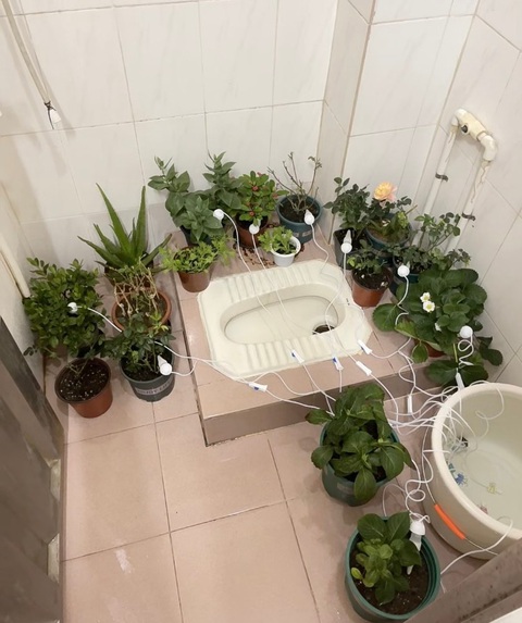 Ảnh vui 15-1: Bé mèo có cái mỏ hỗn trong truyền thuyết - Ảnh 4. Ảnh vui 15-1: Bé mèo có cái mỏ hỗn trong truyền thuyết - Ảnh 4.
