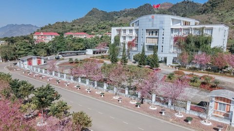 Những điểm check-in đẹp ngẩn ngơ với hoa mai anh đào Mộc Châu - Ảnh 9. Những điểm check-in đẹp ngẩn ngơ với hoa mai anh đào Mộc Châu - Ảnh 9.