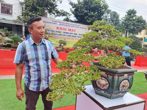 Ngắm những cây bonsai tuyệt đẹp ở chợ hoa xuân Quảng Ngãi - Ảnh 1. Ngắm những cây bonsai tuyệt đẹp ở chợ hoa xuân Quảng Ngãi - Ảnh 1.