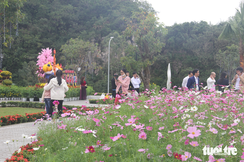 Đà Nẵng mở vườn hoa xuân dưới núi Ngũ Hành Sơn - Ảnh 2. Đà Nẵng mở vườn hoa xuân dưới núi Ngũ Hành Sơn - Ảnh 2.