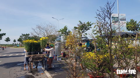 Chợ hoa miền Tây: Người người chở mùa xuân dịp Tết - Ảnh 6. Chợ hoa miền Tây: Người người chở mùa xuân dịp Tết - Ảnh 6.