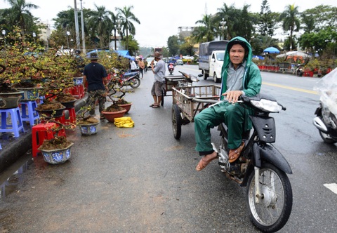 Mưa gió liên tục, chợ hoa Tết Quảng Ngãi đìu hiu - Ảnh 6. Mưa gió liên tục, chợ hoa Tết Quảng Ngãi đìu hiu - Ảnh 6.