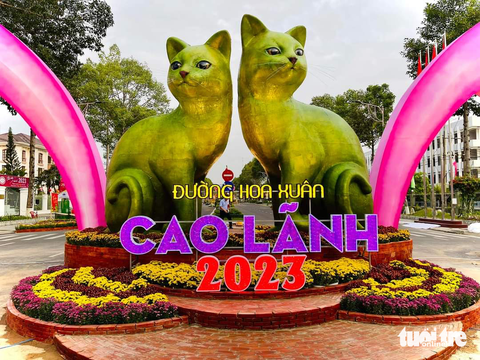 Linh vật mèo Đồng Tháp độc đáo màu xanh lá sen - Ảnh 1. Linh vật mèo Đồng Tháp độc đáo màu xanh lá sen - Ảnh 1.