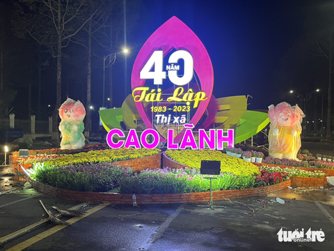 Linh vật mèo Đồng Tháp độc đáo màu xanh lá sen - Ảnh 3. Linh vật mèo Đồng Tháp độc đáo màu xanh lá sen - Ảnh 3.