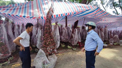 Hoa Tết: sức mua đã tăng - Ảnh 4. Hoa Tết: sức mua đã tăng - Ảnh 4.
