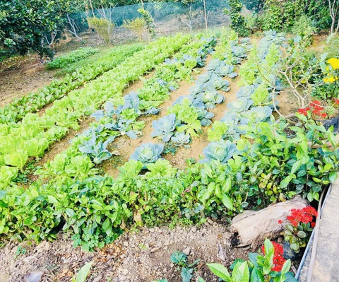 Nôn nao nhớ những chiều 30 - Ảnh 2. Nôn nao nhớ những chiều 30 - Ảnh 2.