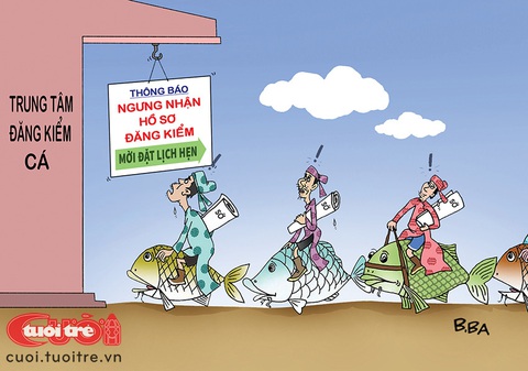 Táo quân rối vì chuyện đăng kiểm - Ảnh 3. Táo quân rối vì chuyện đăng kiểm - Ảnh 3.