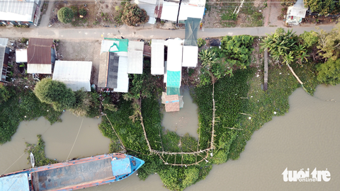 Đàn cá tự nhiên hàng ngàn con nương tựa trước nhà người dân ở An Giang - Ảnh 2. Đàn cá tự nhiên hàng ngàn con nương tựa trước nhà người dân ở An Giang - Ảnh 2.