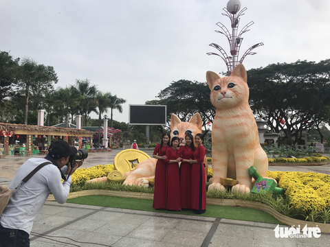Xếp hàng... chụp ảnh với mèo tại đường hoa Cao Lãnh - Ảnh 3. Xếp hàng... chụp ảnh với mèo tại đường hoa Cao Lãnh - Ảnh 3.