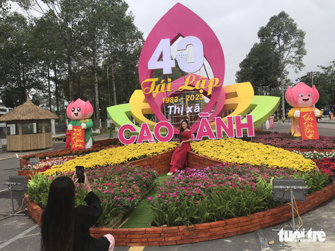 Xếp hàng... chụp ảnh với mèo tại đường hoa Cao Lãnh - Ảnh 6. Xếp hàng... chụp ảnh với mèo tại đường hoa Cao Lãnh - Ảnh 6.